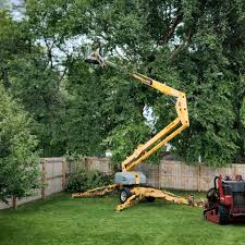 Best Tree and Shrub Care  in Flat Rock, NC